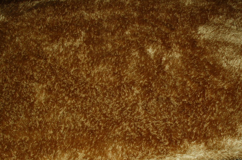 Vloerkleed maat 170 x 230 Karpet 15