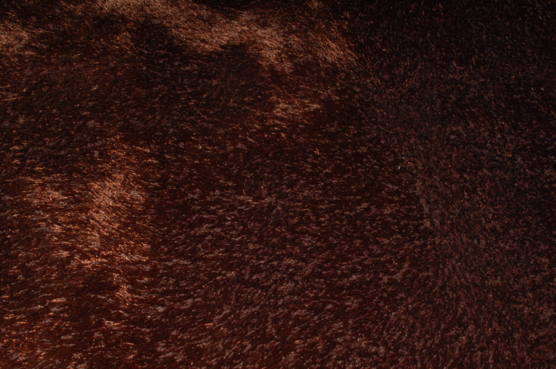 Vloerkleed  maat 170 x 230 Karpet 24